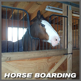 Boarding services
