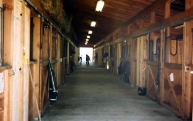 Stables at Maple Meadows Equestrian Centre