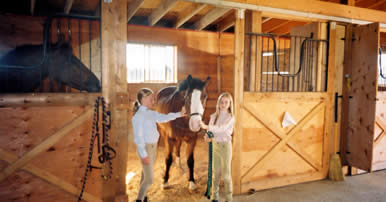 Stables at Maple Meadows Equestrian Centre
