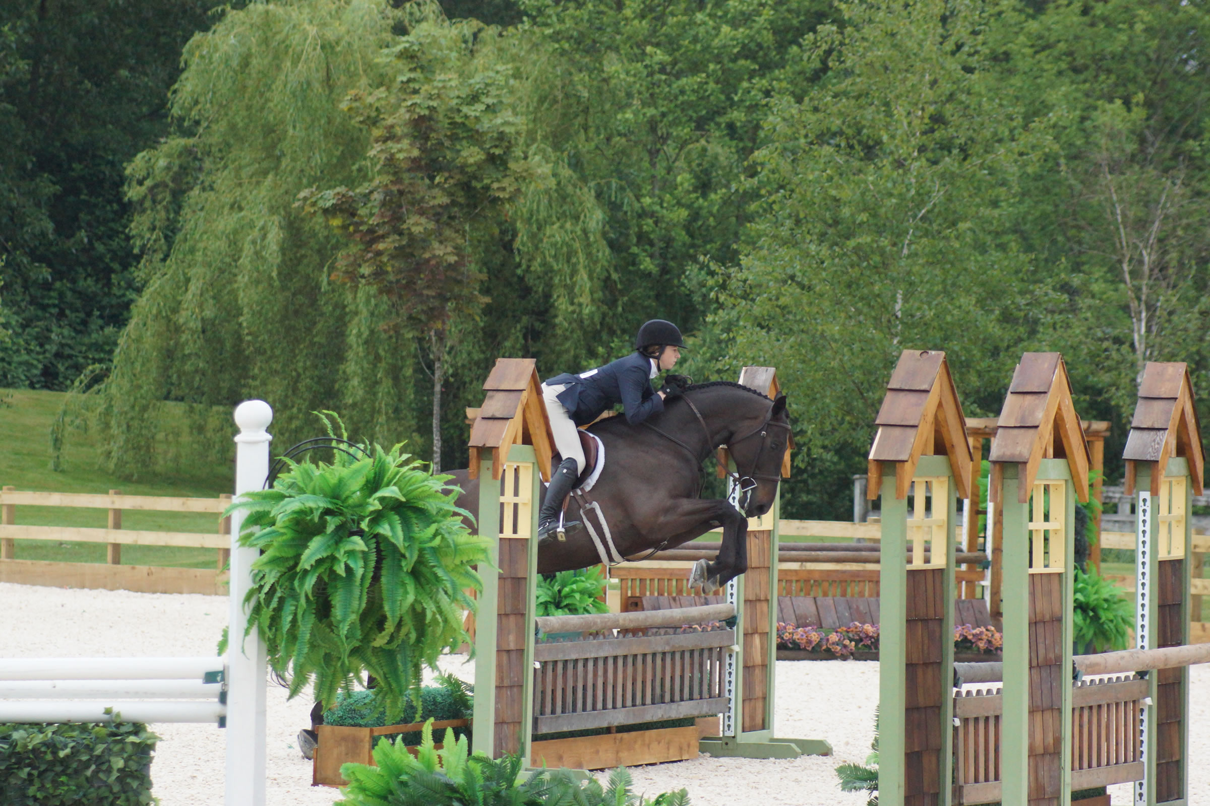 Horse Riding Lessons